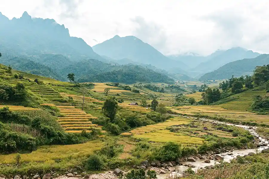 Sapa en Été